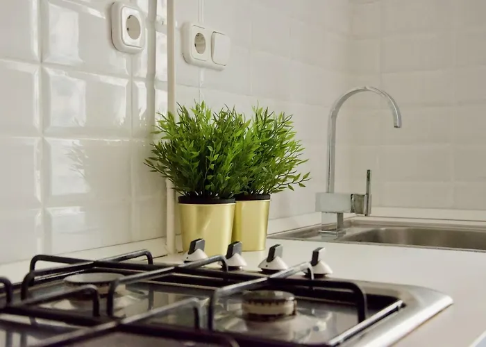 Standard By Hi5 - Steindl Street